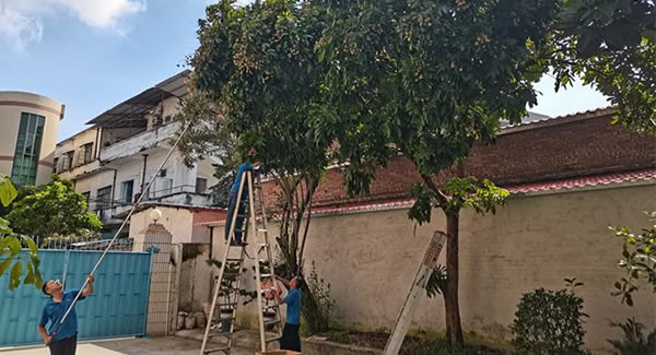 廣有儲(chǔ)良龍眼，詮釋濃情盛夏|廣有五金&東莞合頁