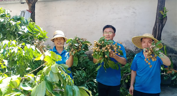 摘一顆龍眼，品一份團(tuán)圓，謝一次饋贈(zèng) | 廣有五金&東莞合頁?